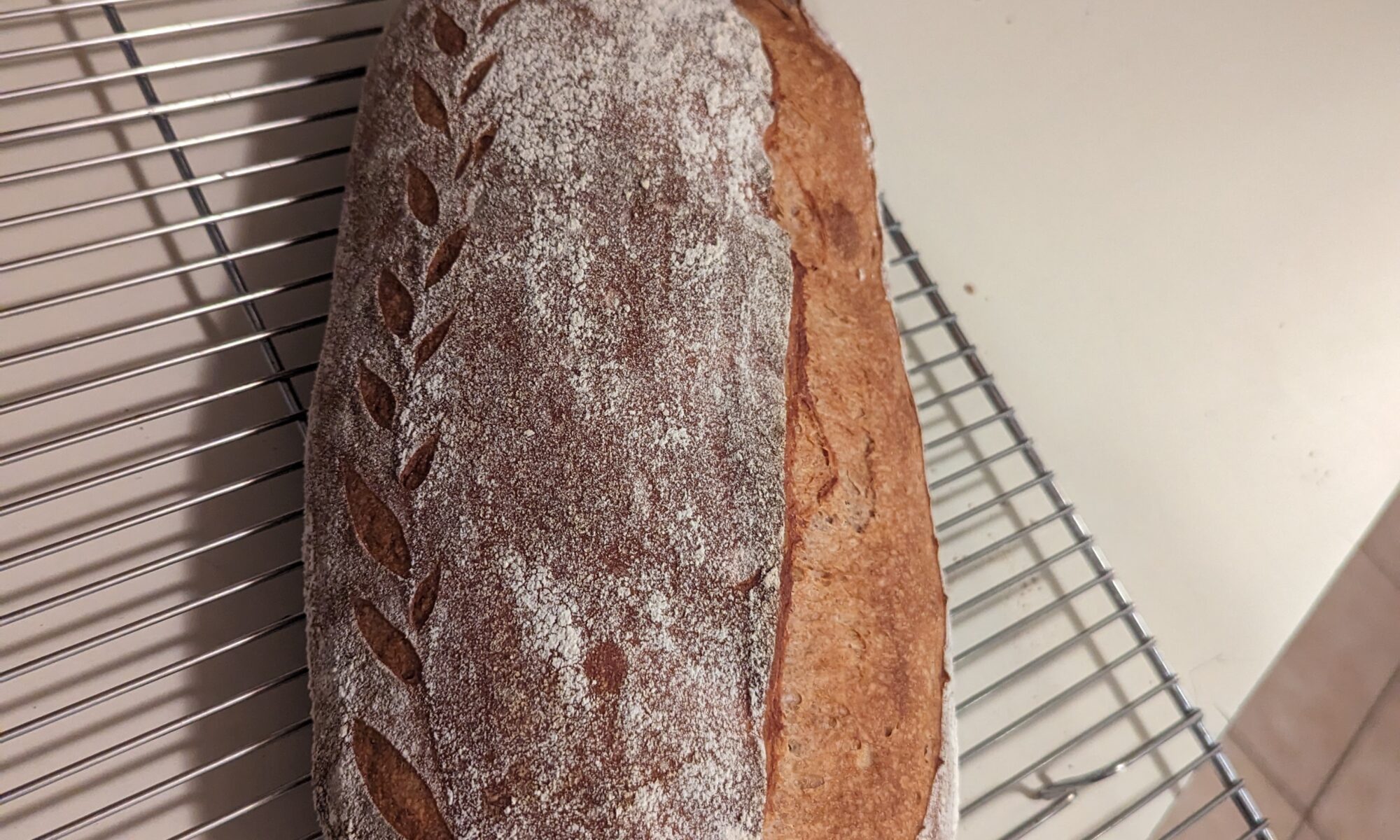 whole wheat sourdough
